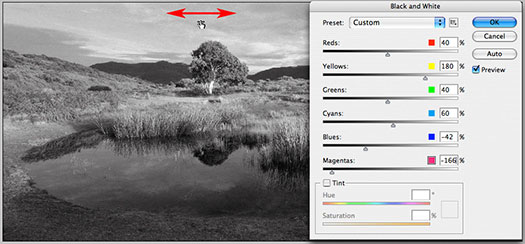 Adobe Photoshop CS3 Public Beta